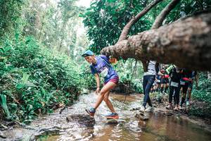 BIB: 
                            <button type="button" onclick="openModal(25374929)" class="btn btn-primary btn-sm float-right btn-popup" data-toggle="modal" data-target=".modal-high-quality">
                        <i class="fas fa-shopping-cart"></i> Add to Cart
                    </button>
                                            <button type="button" onclick="isThisMe(25374929, true)" class="btn btn-success btn-sm float-right btn-popup btn-isme hidden" data-toggle="tooltip" data-placement="bottom" title="นี่คือรูปของคุณใช่ไหม คลิกที่นี่เพื่อเอาเข้าอัลบั้ม">
                        <i class="fas fa-plus"></i> Add to album
                    </button>
                    <button type="button" onclick="isThisMe(25374929, false)" class="btn btn-warning btn-sm float-right btn-popup btn-isnotme hidden">
                        <i class="fas fa-ban"></i> Remove from album
                    </button>